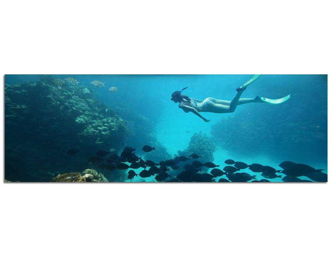 Panoramabild auf Leinwand und Keilrahmen 150x50cm Meer Korallenriff Fische Taucherin Palmen