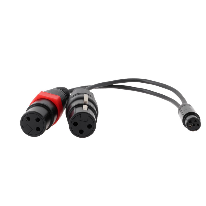 Mini-XLR 5Pin TA5F auf 2X XLR 3Pin Adapterkabel Kompatibel mit Presonus HP2 Kopfhörerverstärker