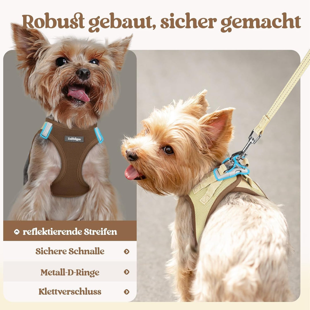 rabbitgoo Hundegeschirr Kleine Hunde mit Leine, Step-in Welpengeschirr Weich Mesh für Spaziergänge,