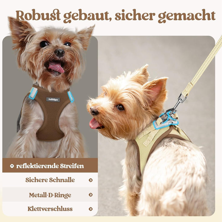 rabbitgoo Hundegeschirr Kleine Hunde mit Leine, Step-in Welpengeschirr Weich Mesh für Spaziergänge,