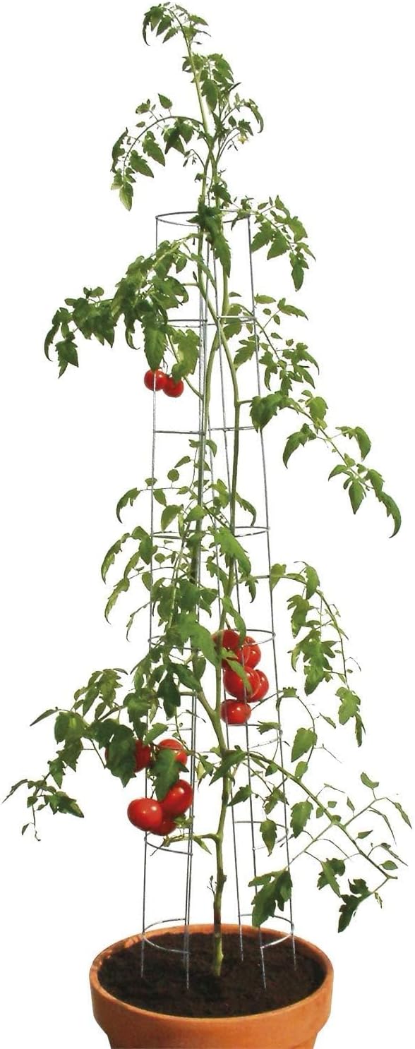 bellissa 90400 – Tomatenturm – Rankhilfe für Tomaten und Gurken – Pflanzenstab Durchmesser 13 cm, Hö