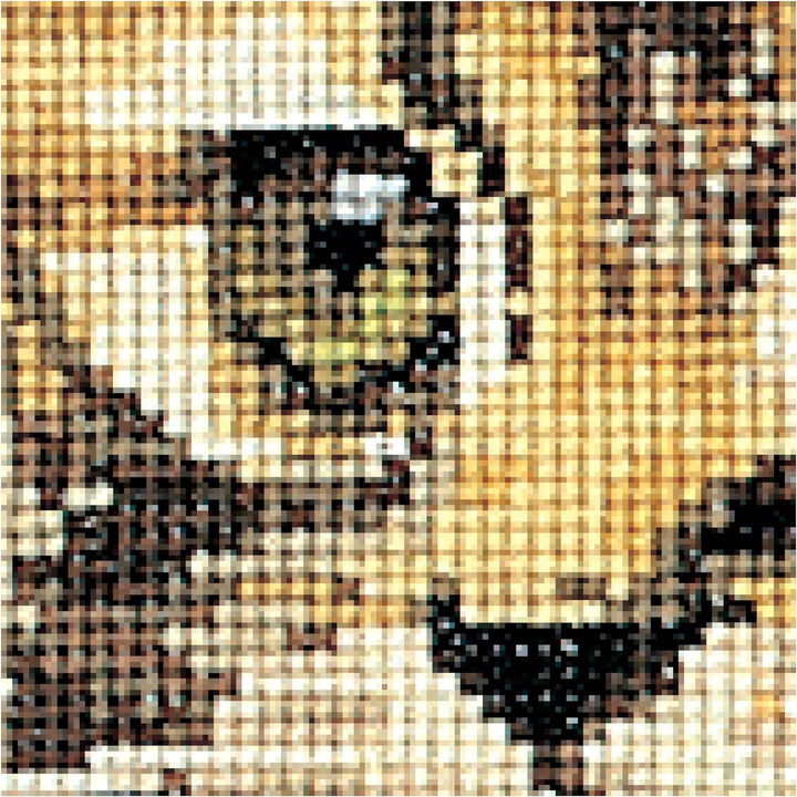 Thea Gouverneur - Kreuzstich-Set - LanghaarigeBraune Katze - Leinen - 24 Count - Für Erwachsene - 93