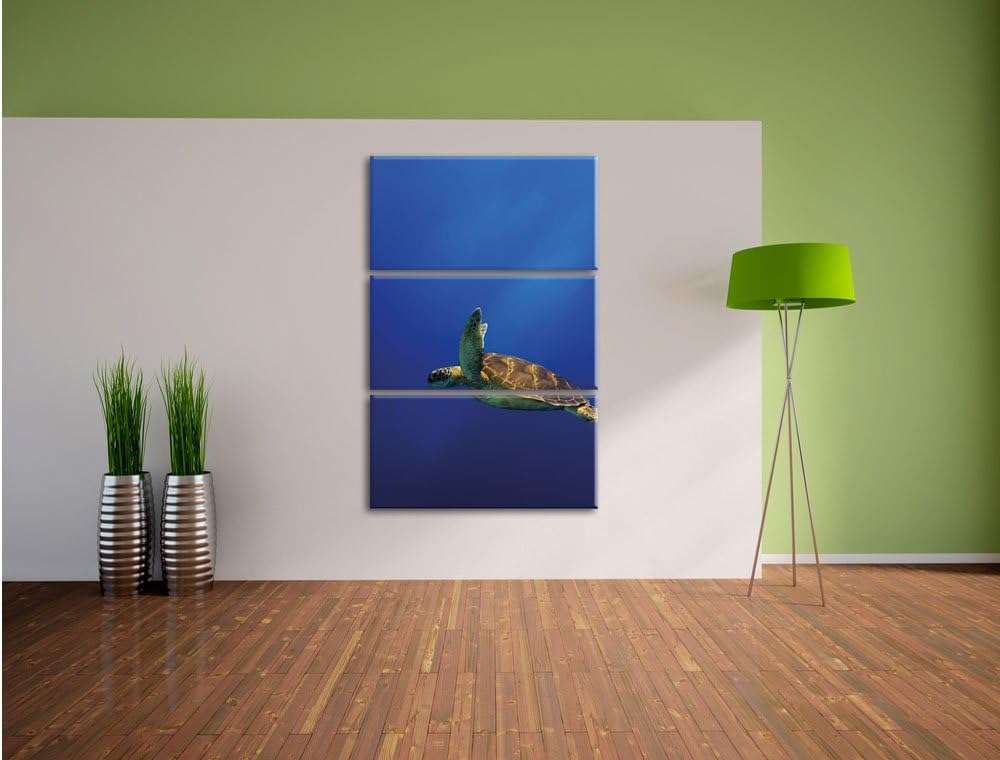 Pixxprint Schildkröte im Meer als Leinwandbild/Grösse: 3 Teilig (120x80) cm/Wandbild/Kunstdruck/fert