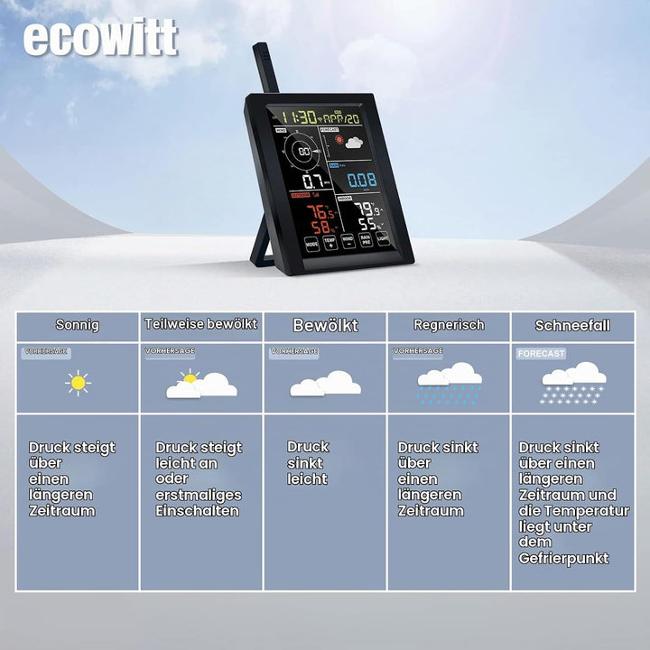 ECOWITT Wetterstation WN1980, 5 in 1 Wireless Outdoor Wetterstation Sensor WN67 (nicht Solarbetriebe