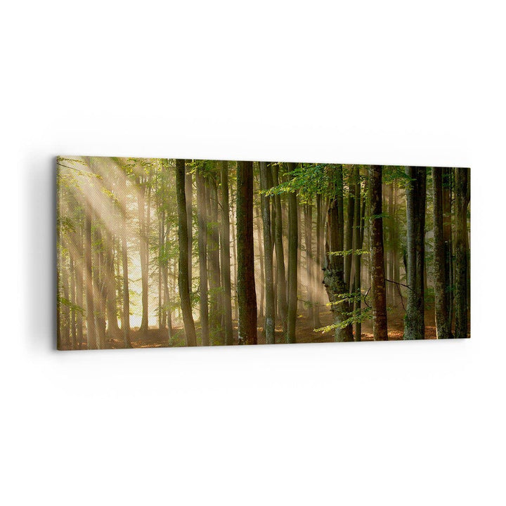 Wandbilder Dekoration Wohnzimmer Wald Baum Natur Panorama Bilder auf Leinwand 120x50cm Leinwandbild