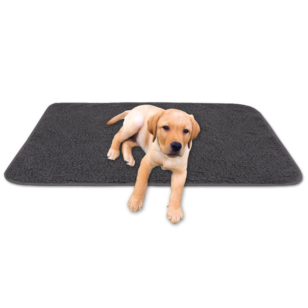 Tierdecke Haustierdecke Kuscheldecke Hundebett Katzendecke (Lammflor - Design / 90x140 cm/dunkelgrau