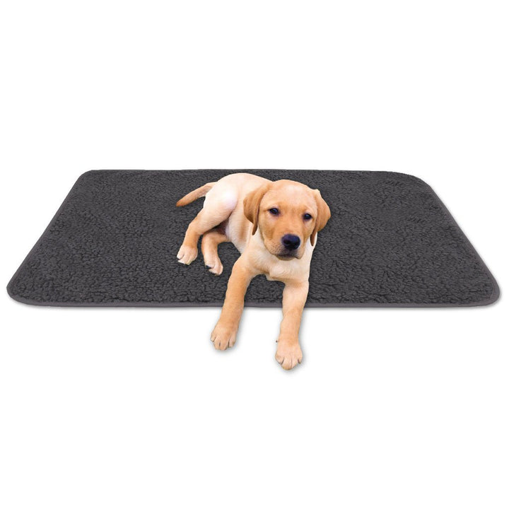 Tierdecke Haustierdecke Kuscheldecke Hundebett Katzendecke (Lammflor - Design / 90x140 cm/dunkelgrau
