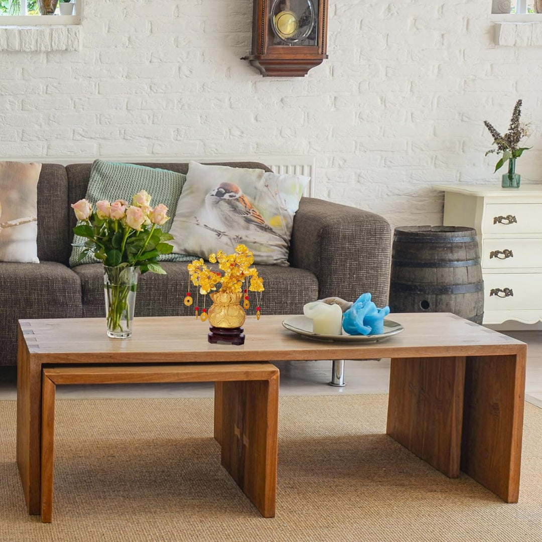 IMIKEYA Geldbaum Feng Shui Gold Glücksbaum Pfennigbaum Kristall Feng Shui Deko with Glücksmünzen und