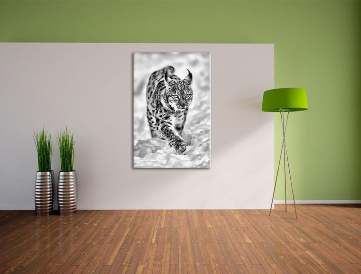 Pixxprint Luchs im Schnee als Leinwandbild/Grösse: 100x70 cm/Wandbild/Kunstdruck/fertig bespannt, 10