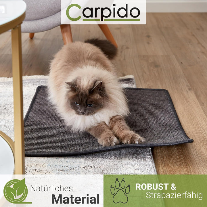 Kratzmatte für Katzen - Fussmatte Sisal Kratzteppich - natürliche Sisalmatte robust - Vorleger aus 1