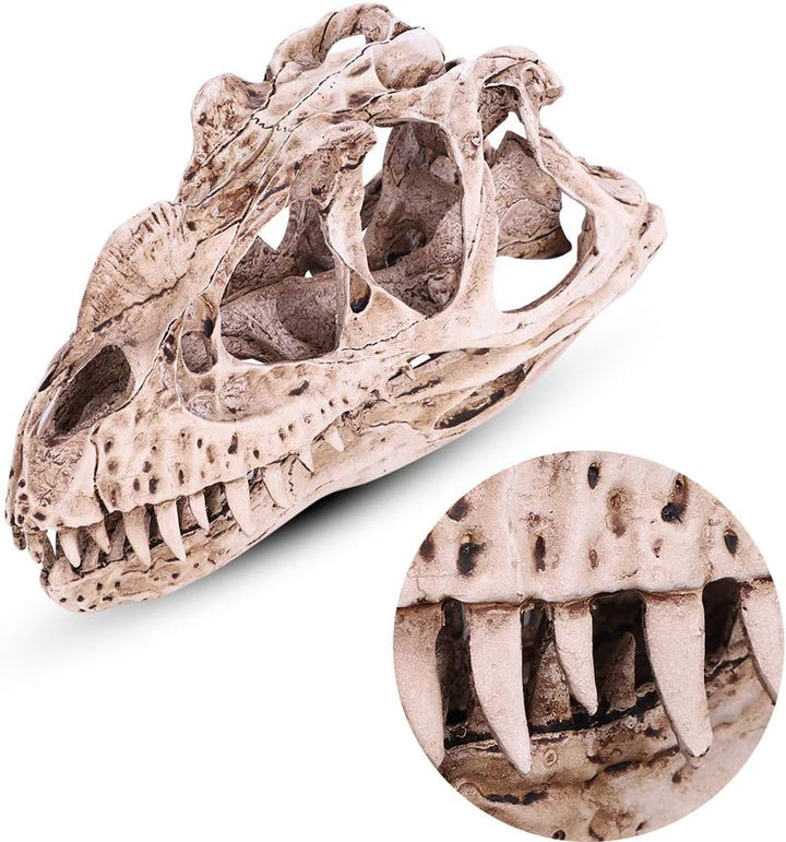 VIFERR Dinosaurier-Schädel-Modell Harz simuliertes Dinosaurier-Skelett Home-Office-Dekor Handwerk Le