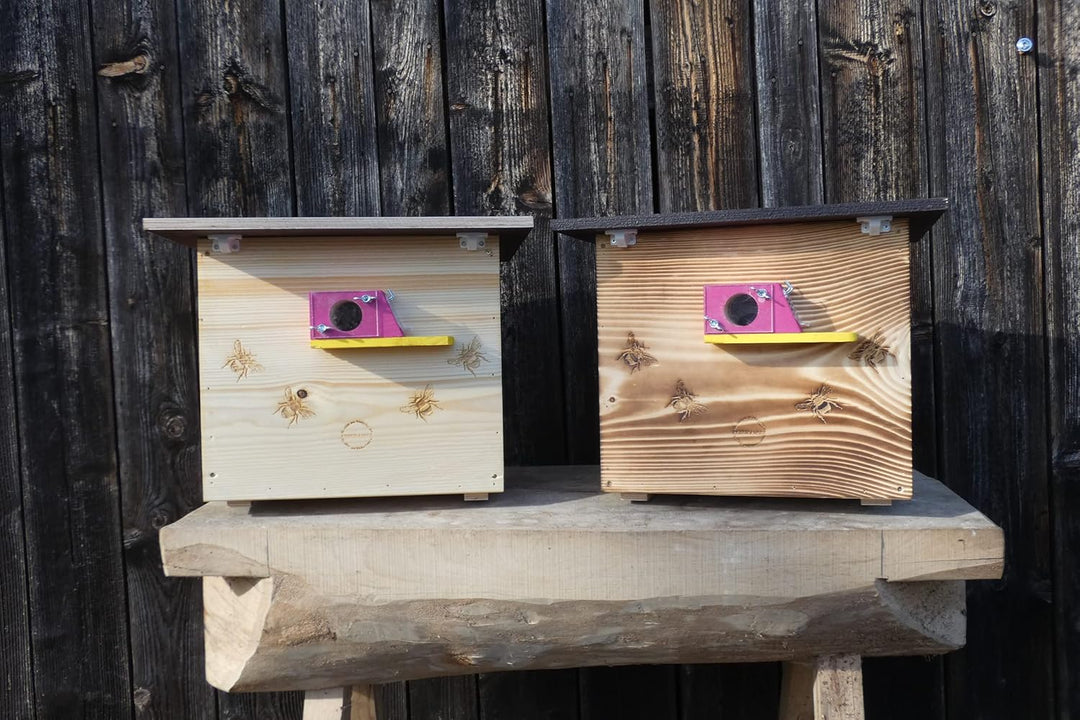 Premium Hummelkasten mit Wachsmottensperre, 2X Sichtfenster und Nistmaterial Wetterfest Bienenhaus H
