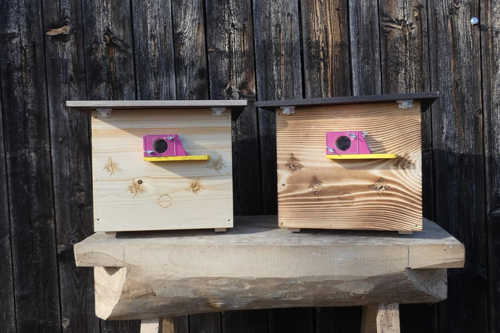 Premium Hummelkasten mit Wachsmottensperre, 2X Sichtfenster und Nistmaterial Wetterfest Bienenhaus H