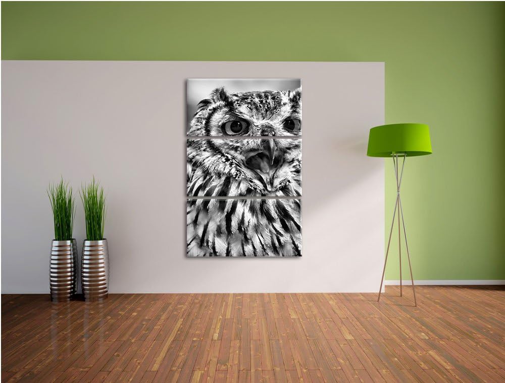 Pixxprint grosse Waldeule gähnt als Leinwandbild/Grösse: 3 Teilig (120x80) cm/Wandbild/Kunstdruck/fe
