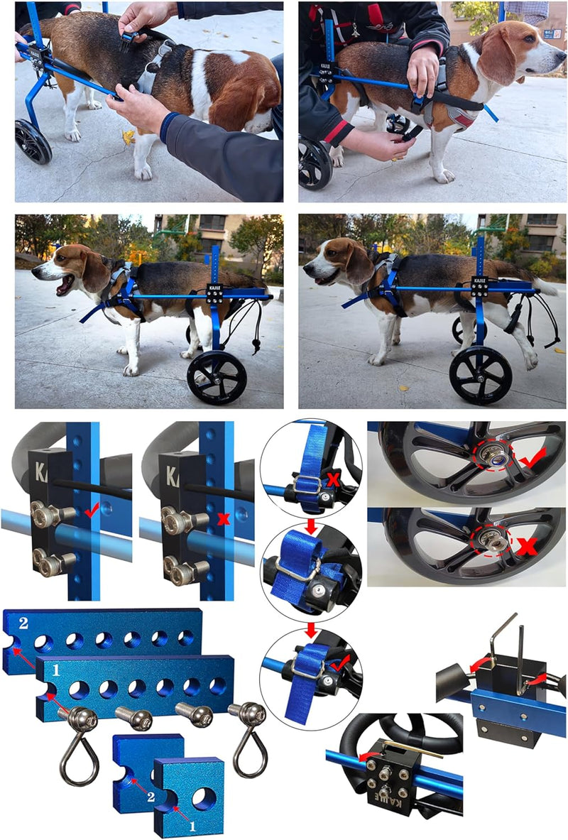 KAJILE Verstellbarer 2-Rad-Hunderollstuhl, L-2 Grösse für behinderte Hund Hinterbeine Rehabilitation