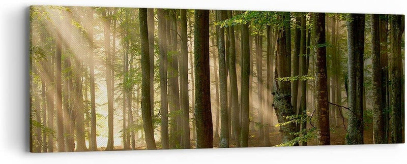 Panorama Bilder auf Leinwand Wald Baum Natur Leinwandbild mit Rahmen 90x30cm Wandbilder Dekoration W