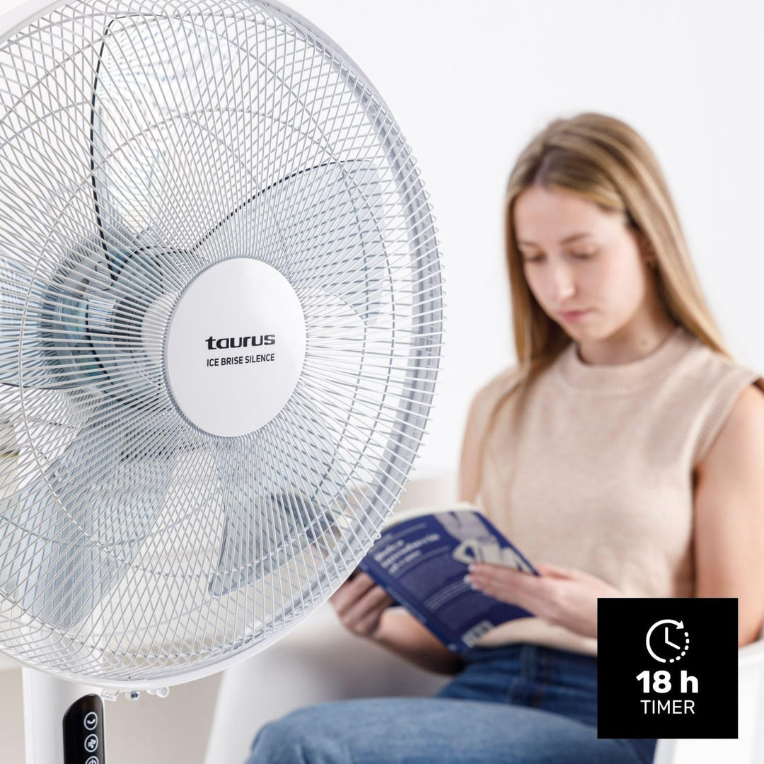Taurus - 3-in-1 Ventilator Ice Brise Silence 24W | Flüsterleiser DC-Motor | 3 Modi | 5 Flügel | Time