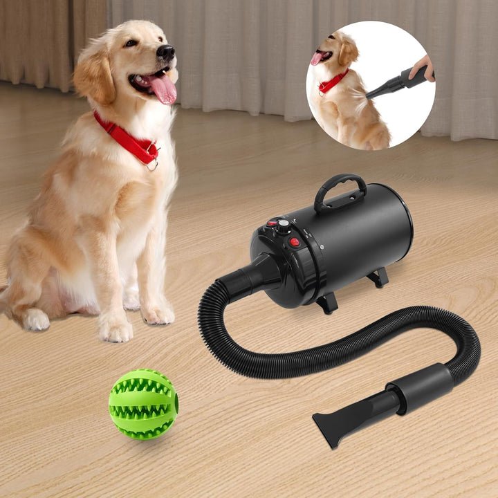 Hundefön Blower mit 4 Düsen - 2200W Profi Blower Hund, Leiser Hundepflege Trockner Gebläse für Hunde