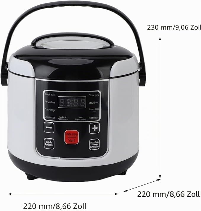 HEEPDD Reiskocher für Auto, 2L Kapazität, Warmhaltefunktion, Kompakt und Tragbar, 24V, für 2-5 Perso