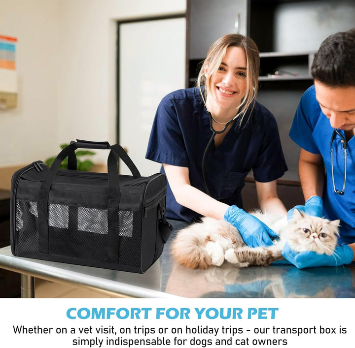 BYZESTY Transportbox Katze Hund Katzentransportbox Hundebox Faltbar Hundetransportbox Katzen Transpo