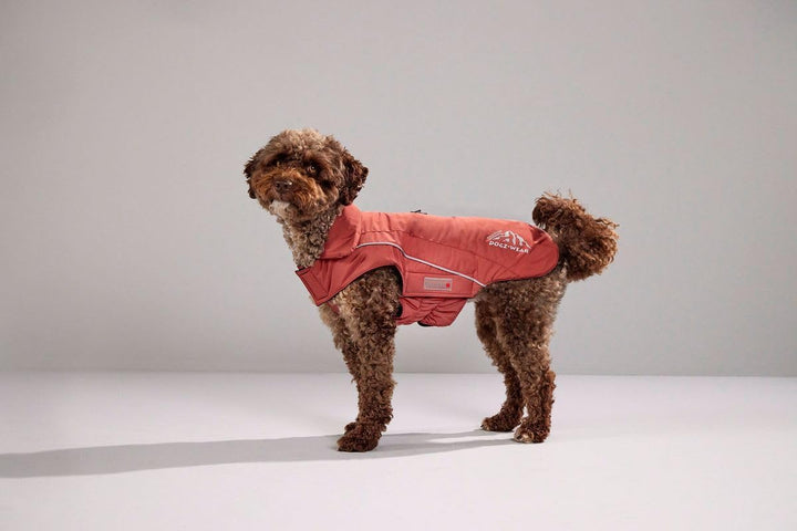 Wolters Skijacke Dogz Wear, Grösse:28 cm, Farbe:rost rot 28 cm rost rot, 28 cm rost rot