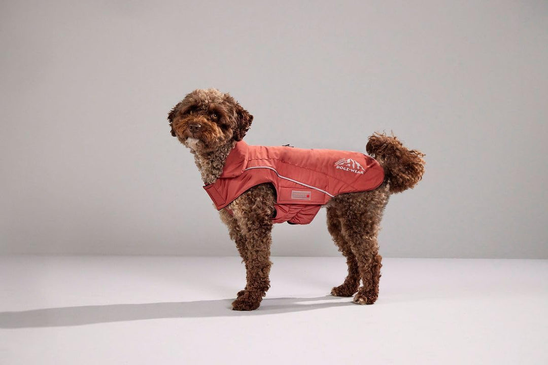 Wolters Skijacke Dogz Wear, Grösse:32 cm, Farbe:rost rot 32 cm rost rot, 32 cm rost rot