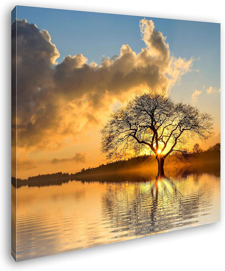 deyoli einsamer Baum im Wasser Format: 70x70 als Leinwandbild, Motiv fertig gerahmt auf Echtholzrahm