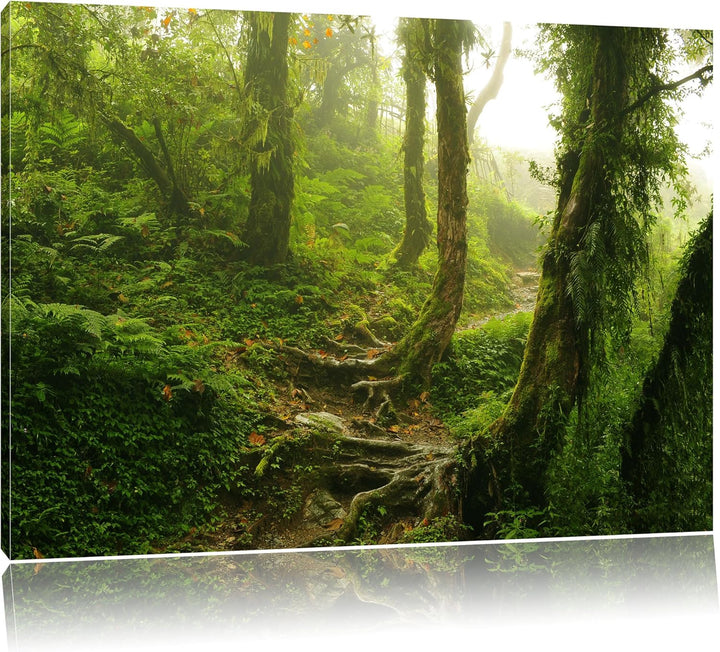 Unberührter Regenwald, Format: 100x70 auf Leinwand, XXL riesige Bilder fertig gerahmt mit Keilrahmen