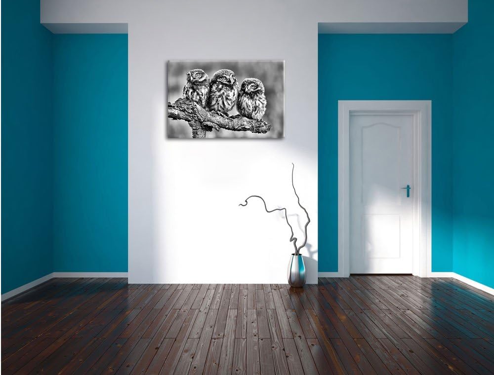 Pixxprint DREI Eulen auf AST als Leinwandbild/Grösse: 100x70 cm/Wandbild/Kunstdruck/fertig bespannt,