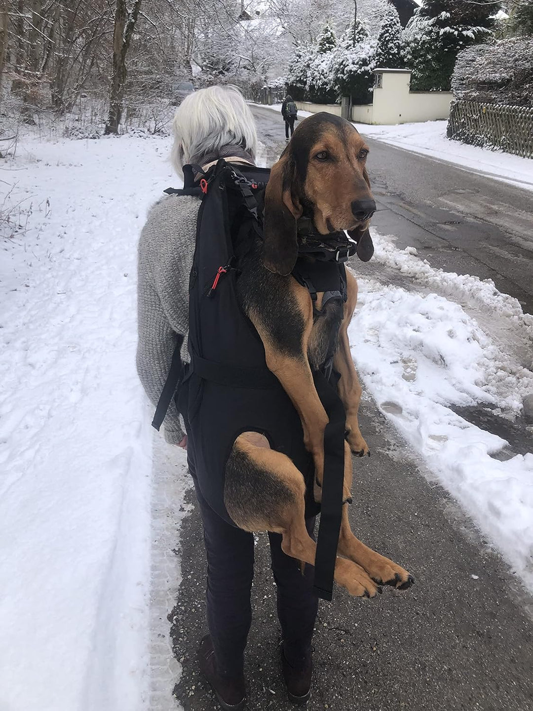 Patentierter PREMIUM XXL Leg free Hunderucksack - Hundetrage Hundetasche Rucksack für Hunde von 15-2