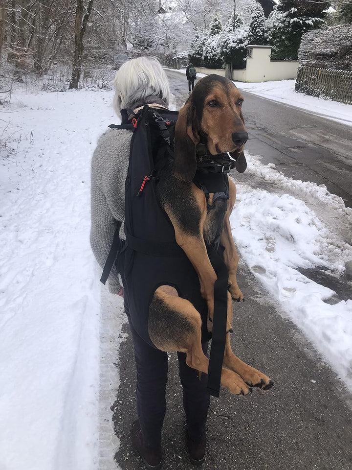 Patentierter PREMIUM XXL Leg free Hunderucksack - Hundetrage Hundetasche Rucksack für Hunde von 15-2