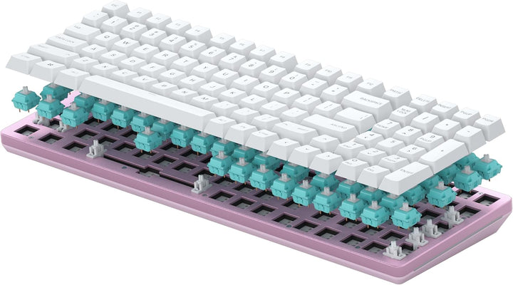 GLORIOUS Gaming GMMK 2 Full Size (96%) Barebones (Frame Only) - Mechanisches Gaming-Tastaturgrundger
