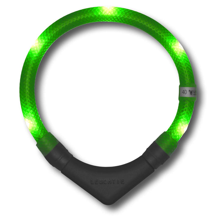 LEUCHTIE® Leuchthalsband Plus neongrün Grösse 37,5 I LED Halsband für Hunde I 100 h Leuchtdauer I wa