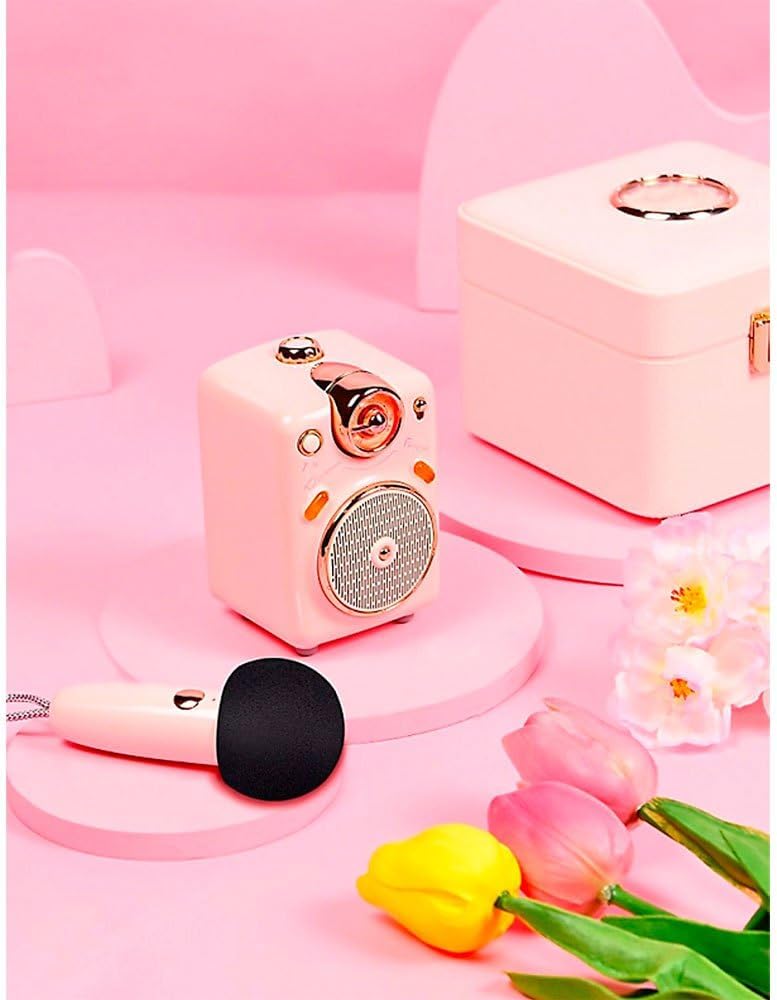 divoom Fairy-OK Tragbares Karaoke-Mikrofon für Erwachsene/Kinder, Bluetooth-Lautsprecher mit KTV-Han