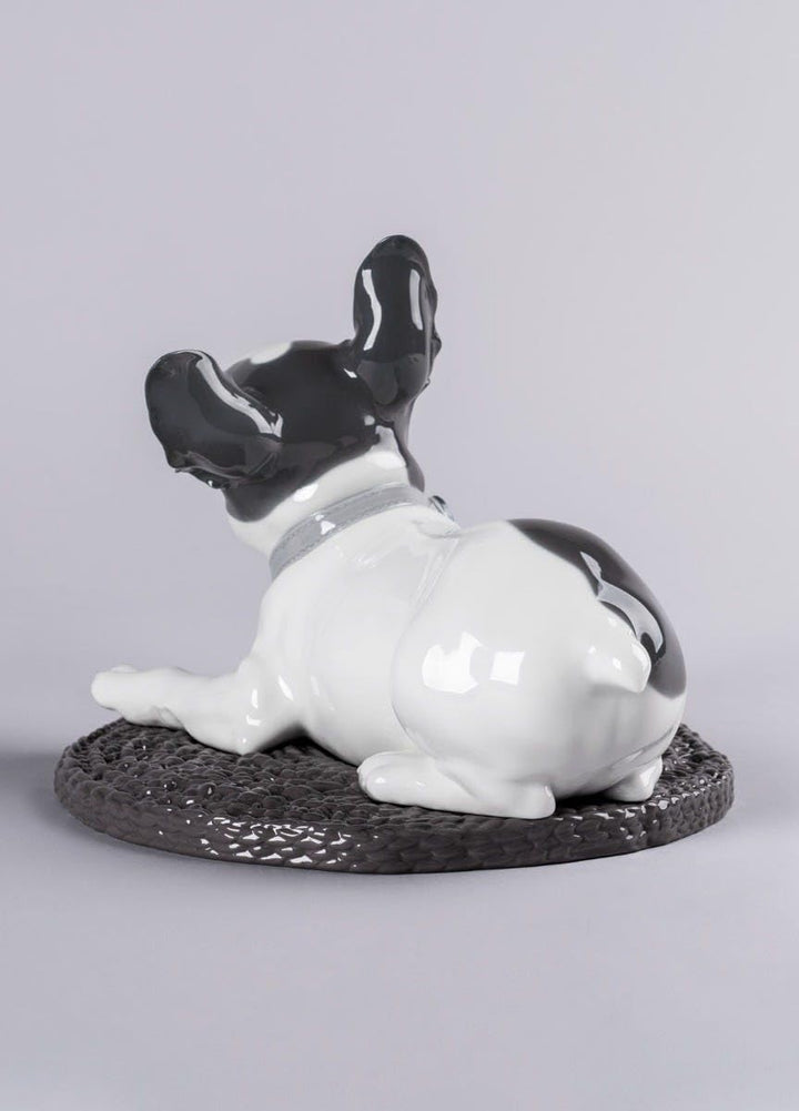 LLADRÓ French Bulldog with Macarons Dog Figurine. Bulldogge. Porzellan.