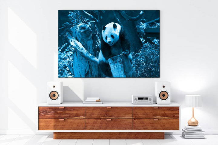deyoli knuffiger Panda Format 120x80 Effekt: Monocrome Blau als Leinwandbild, Motiv fertig gerahmt a