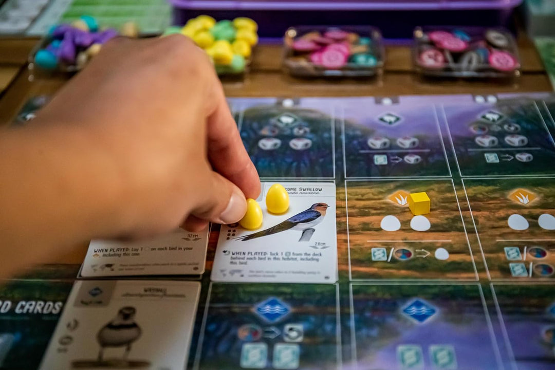 Stonemaier Games , Wingspan: Oceania Expansion , Board Game , Ages 14+ , 1-5 Players , 40-70 Minute
