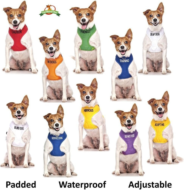 Nervous (Give Me Space) Hundegeschirr, farbcodiert, Nicht ziehend, vorne und hinten, D-Ring, gepolst