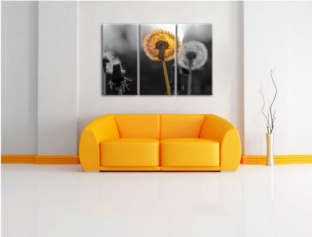 schöne Pusteblumen beim Sonnenuntergang schwarz/weiss 3-Teiler Leinwandbild 120x80 Bild auf Leinwand