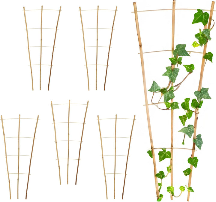 Bambus Rankgitter 75 x 35 cm Natur - 6er Set - Holz Kletterhilfe konisch für Rankpflanzen – Garten P