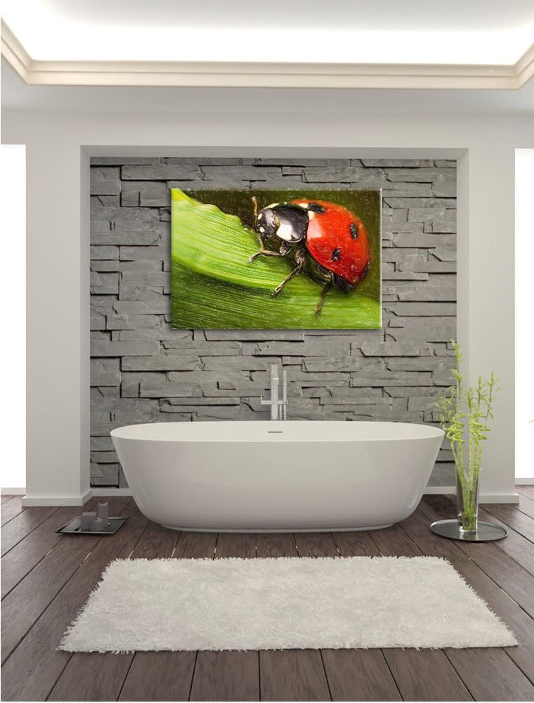 Pixxprint Marienkäfer in Detailaufnahme als Leinwandbild/Grösse: 100x70 / Wandbild/Kunstdruck/fertig