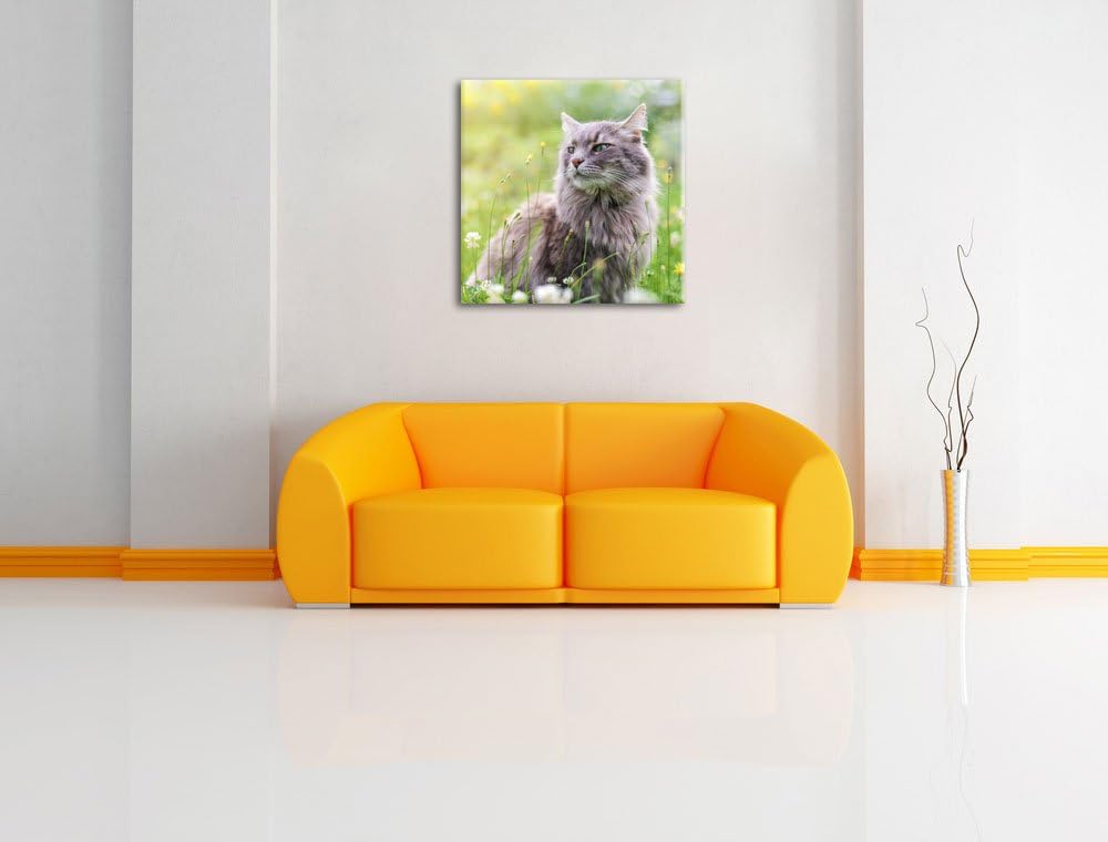 Katze in der Wildnis, Format: 70x70 auf Leinwand, XXL riesige Bilder fertig gerahmt mit Keilrahmen,