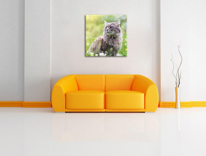 Katze in der Wildnis, Format: 70x70 auf Leinwand, XXL riesige Bilder fertig gerahmt mit Keilrahmen,