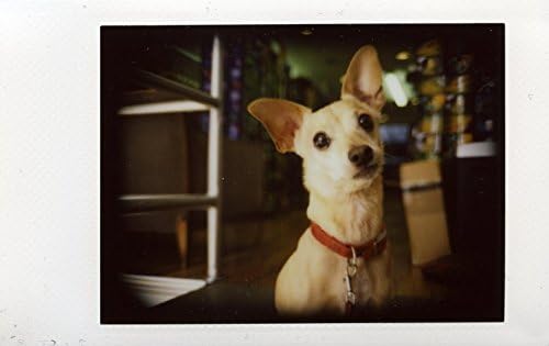 Lomography Lomo'Instant White - Instant Film Kamera
