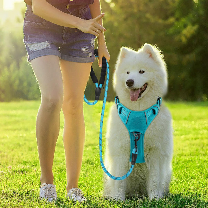 BARKBAY Hundegeschirr, kein Ziehen, mit Clip vorne, strapazierfähig, reflektierend, einfach zu kontr