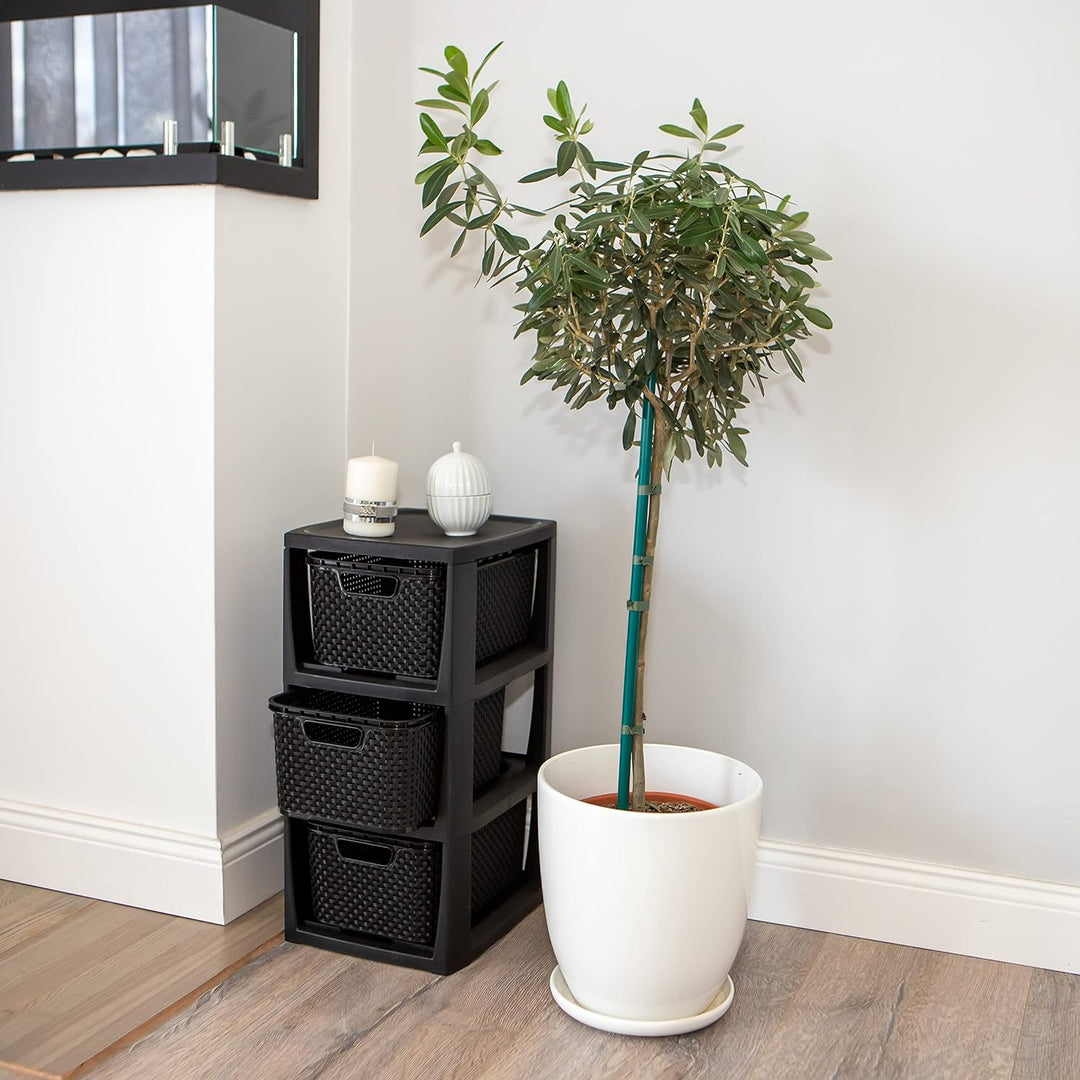 BranQ - Home essential Regal in Rattan Design, BPA-freie Kunststoff PP, Schwarz, 29,5x24x48,7 cm, 3