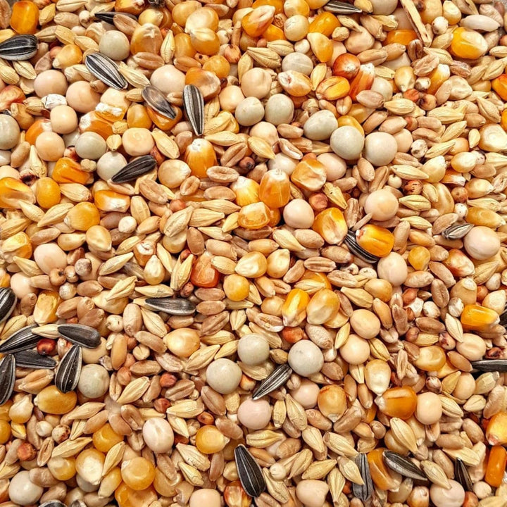 SUPRAVIT Taubenfutter 25kg Basis | nahrhaftes Allroundfutter für Tauben | Klassische Futter Körnermi