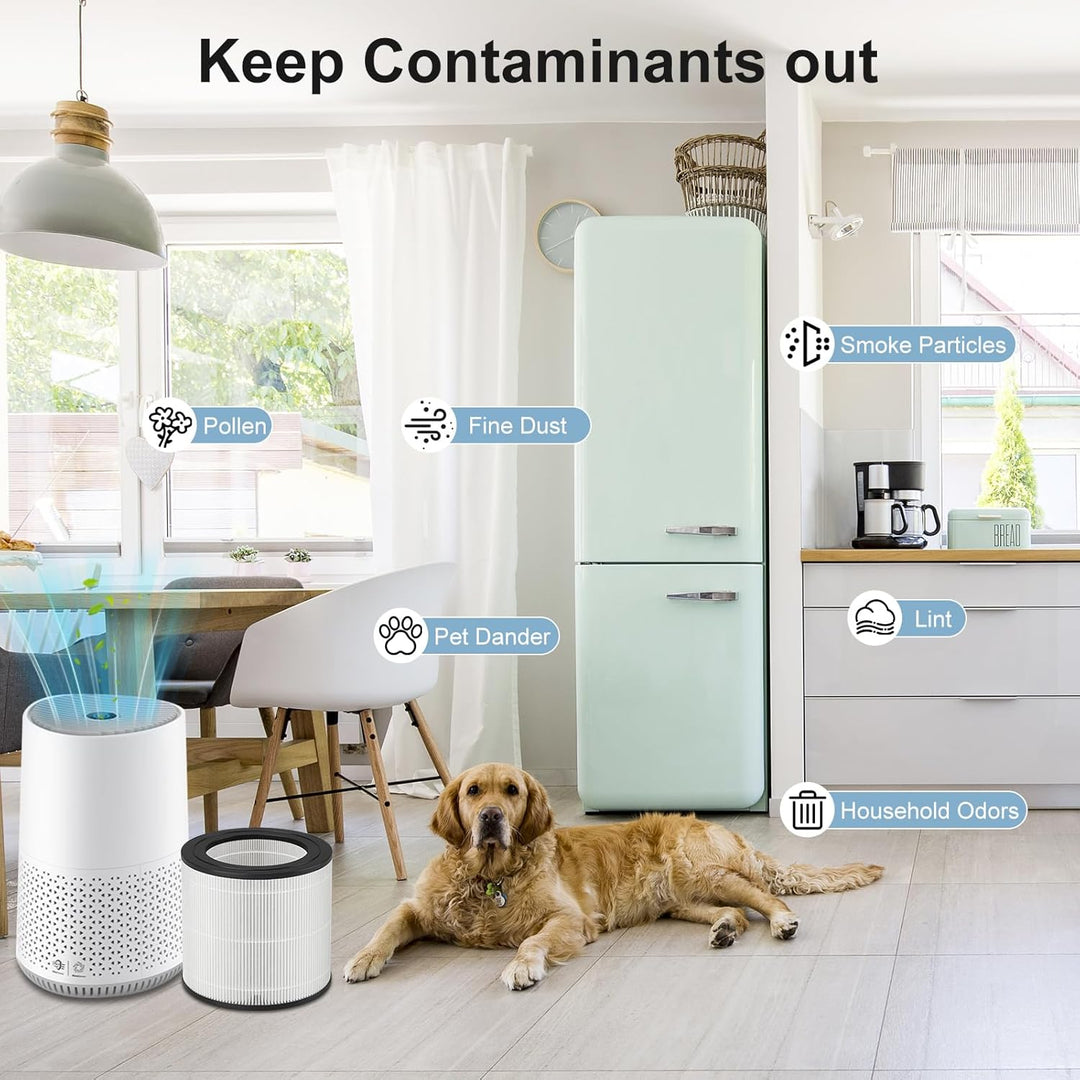 Ersatzfilter kompatibel mit Philips Luftreiniger der Serie 600, H13 HEPA-Filter für Philips AC0650/1