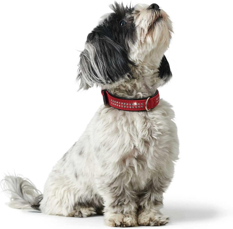 HUNTER SOFTIE DELUXE Hundehalsband, Kunstleder, glitzernde Strasssteine, 40 (XS-S), rot rot 40 (XS-S