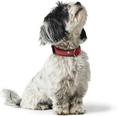 HUNTER SOFTIE DELUXE Hundehalsband, Kunstleder, glitzernde Strasssteine, 45 (S), rot 45 (S) rot, 45